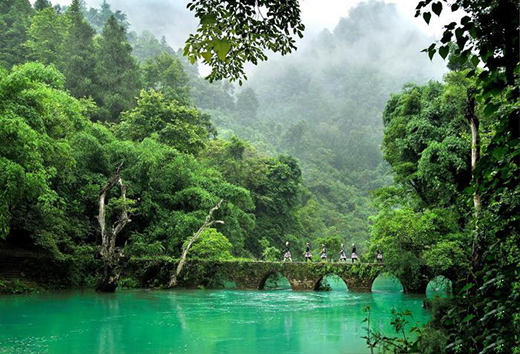 �F��A��(j��)���^(q��)8����Y(ji��)�����T(m��n)Ʊ �֏�(f��)�T(m��n)Ʊ5�ۃ�(y��u)��