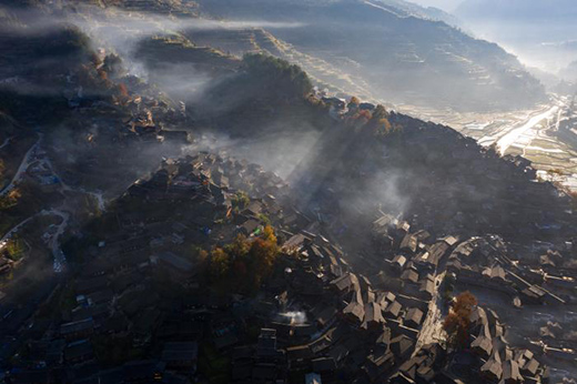 �F��A��(j��)���^(q��)8����Y(ji��)�����T(m��n)Ʊ �֏�(f��)�T(m��n)Ʊ5�ۃ�(y��u)��