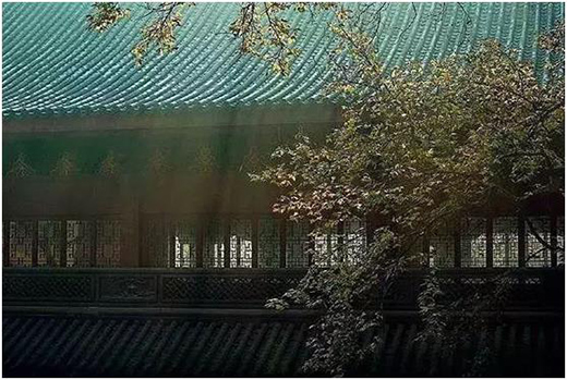 �����T���˴�(y��u)�����͞顰�Y������!