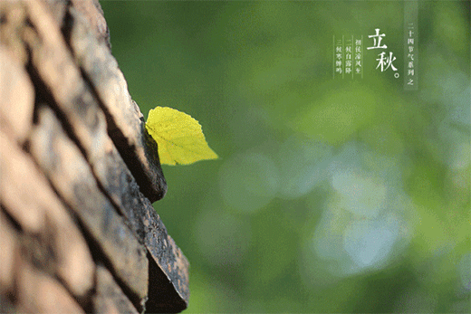 ���죬�� ���X�� ��һ������_���䷽ʽ