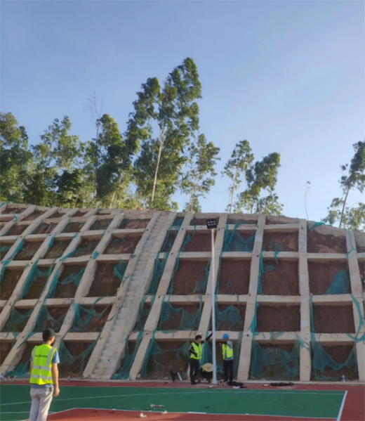 Ω����LED�w���������ٽ��م����c�����ڹ����־�Ȯ����!