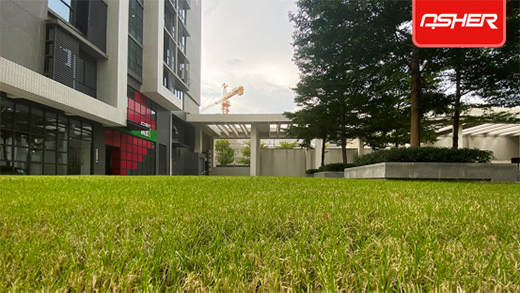 ���O(sh��)�w���l(f��)��ENOCH���Z��ٻ쿗��ƺ����?q��)������ИI(y��)څ��(sh��)