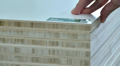 �A����о�壺��ľ�ǧ����һ�ο�Խ�������������