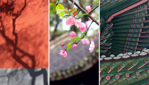 �ŵۘ��T�I(y��)�������Ė|���O(sh��)Ӌ������Ó�׵ĸ߼���!