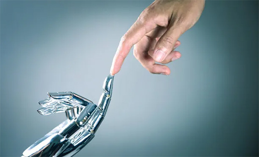 ������(BERNI)������ľ�����չ��δ��