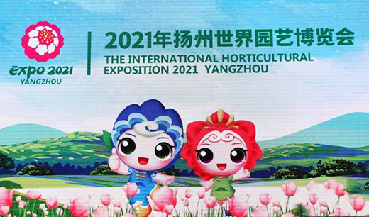 2021��P������@ˇ���[��������������l(f��)��