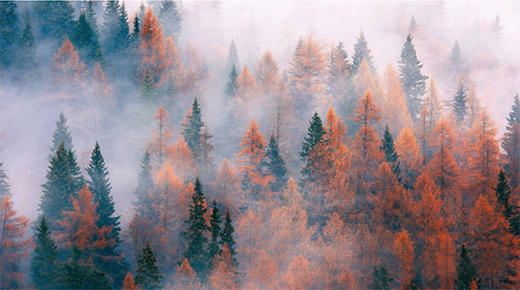 ���Zһ����Ʒ�|(zh��)��ʮ�ֻ꣬�íh(hu��n)��ˮ����!