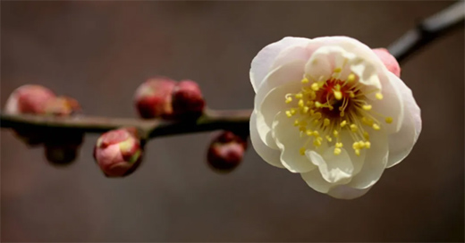 �����Xȫ�X�ҾӪ�(d��)���������ʽ��(y��u)��