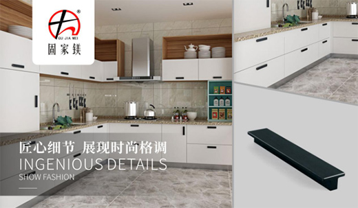 ����ÏN��������󷽡����f�ľ��ǹ̼��V����