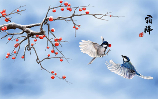 �����᣺˪�����u���e���˽o���ķ��ӱ���!