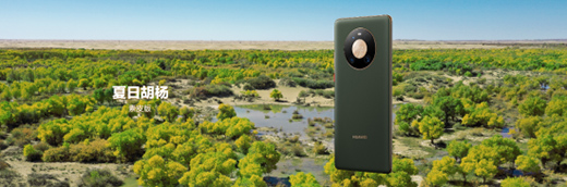 �A��Mate40ϵ����Ʒ�l(f��)��ʢ�������@Щ���c(di��n)��ע�⵽�ˆ�?