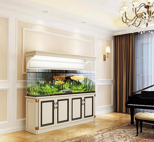 ��r���Ї�(gu��)ȫ�X�Ҿ�ָ��(sh��)��(b��o)��������ȣ��r(ji��)��ָ��(sh��)��(w��n)���ϝq!