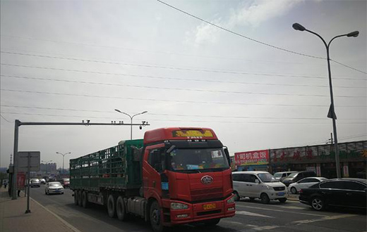 ��������������·������ǰ���ĵ�·