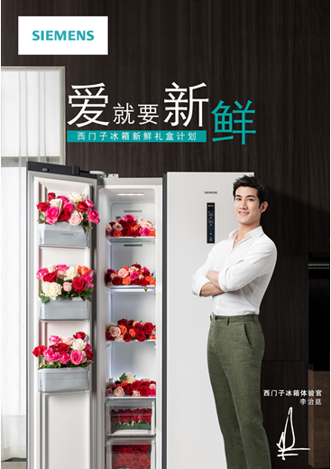 �p11�����_��������������¶�����ι�܊