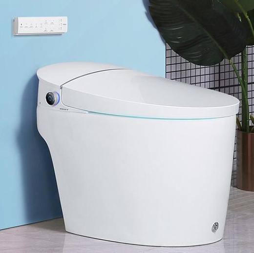 智能馬桶雙11銷售火爆 買智能馬桶蓋注意這兩點!