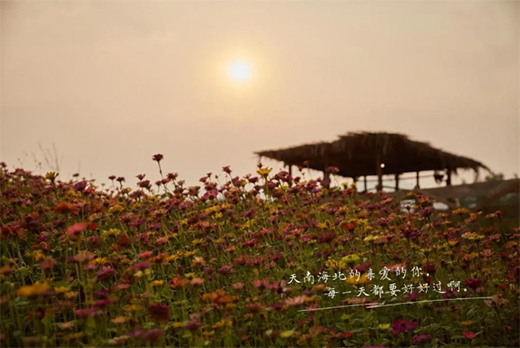 �_����ˇ�g(sh��)Ϳ�ϣ���һ�N�ζ������ʽ�ζ!