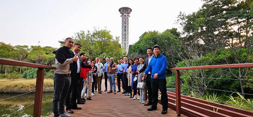 ������(l��)������F(tu��n)�(du��)̽�L�f(w��n)�ƽ����о�����������������(d��o)��(chu��ng)��