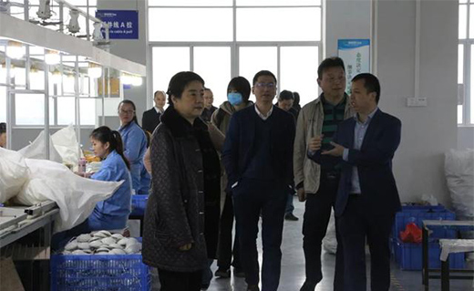 �M���(zh��n)���Ї��������������ء����܏��u