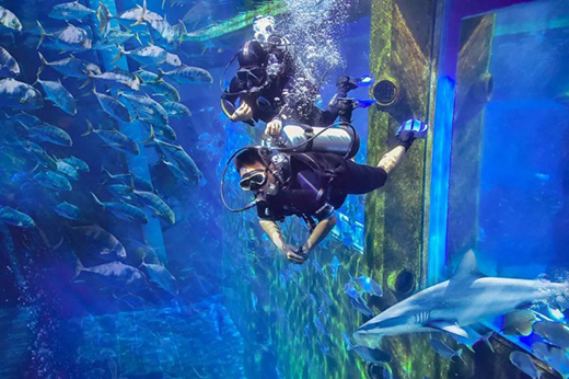 ���L����������δ��!2021�_���ʠI�N���h��������