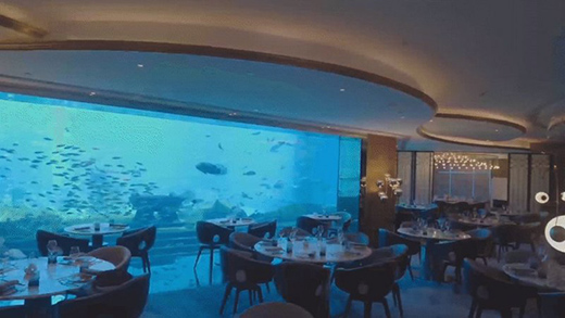 ���L����������δ��!2021�_���ʠI�N���h��������