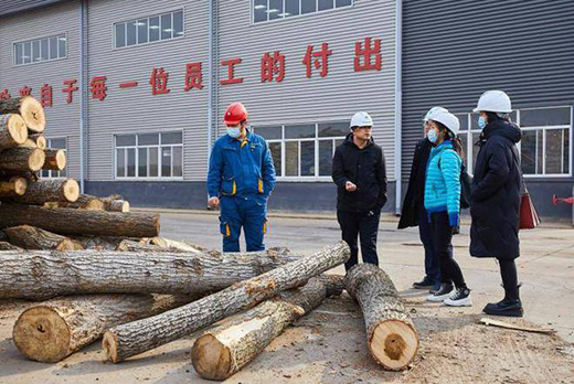 ���ȩ����ԭľ�Y���塪�������m(x��)���h(hu��n)���wϵ�M��Փ