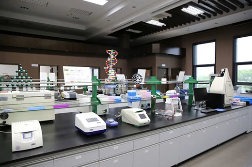 315���M(f��i)�ߙ�(qu��n)�����������������С�