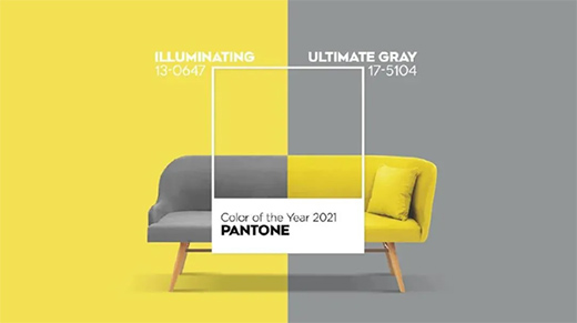 �W�_��ˇ�g(sh��)Ϳ�ϣ�2021피������������S