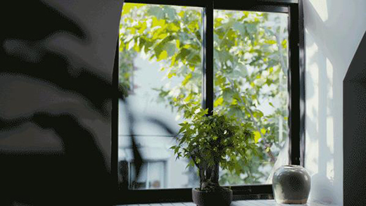 LOLANDS | ׌�T���ɞ�������۾�