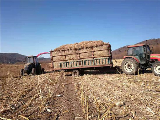 �����������Sţ�� ���콡���ʳ���L(f��ng)��