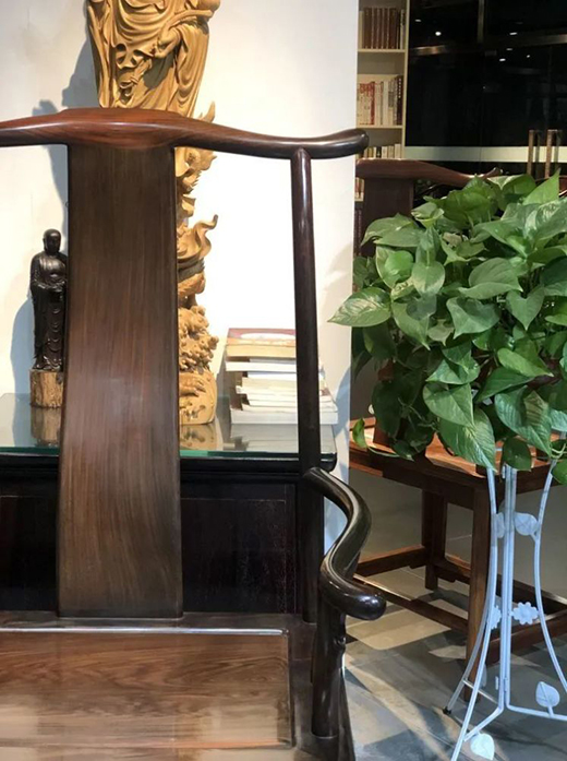 ���tľ�Ҿߣ��������_ʼ