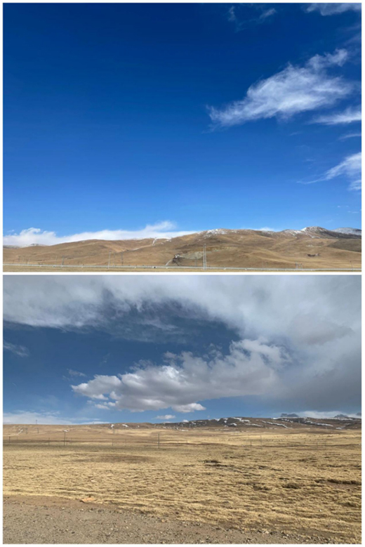 �̼��V�F��������{�Σ������I(l��ng)�Բ�һ�ӵĹ�˾�Ļ�