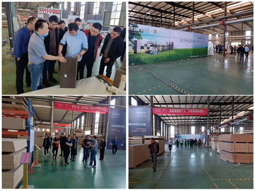 �V�ݺ��Z���ܼҾ�(�ɶ�����)���^�ΌW��ӳɹ��e�k