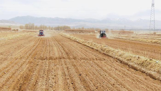 ���f(w��n)��޼���ڲ��_(d��)ľ����_ʼ���N