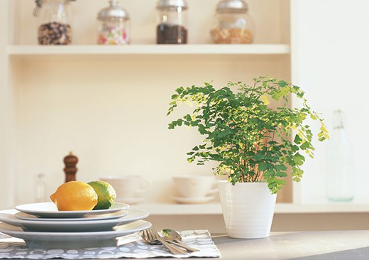 �A�ۑ�(zh��n)����ß������b����Nģʽ�������