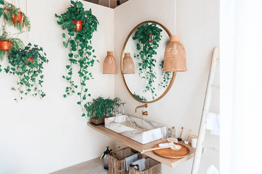 Ľ��ľ�T������ԭ��������Ȼ�ė�Ϣ