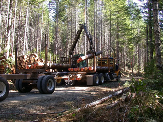 ���Ļ����������M�M | Ī��ɽ�ذ�Ʒ�Ʒ���(w��)���Wҫȫ��(gu��)