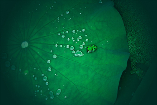 ������N��Ʒ�ƿ��ͺ������I(l��ng)Ʒ�|(zh��)�N���������w�(y��n)