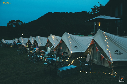 ALLIE�}�����I(y��)�������N�ĺ��o(h��)¶�I(y��ng)�w�(y��n)