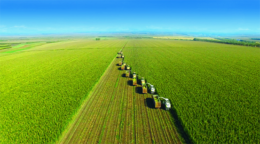 �w�Q�̷��I����ռ�ʛ_��19%����؛��������