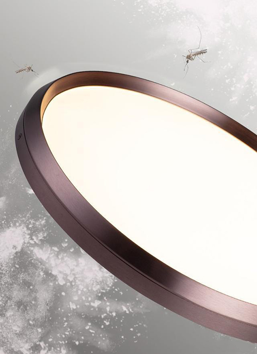 һ��s��������������픟����s׌�Ҳ����s