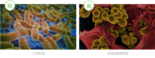 Ӳ�˃���حѩ����������ù�塹������������