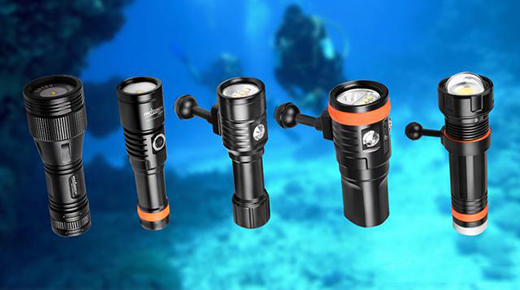 ��ˮ������������ߡ���OrcaTorch