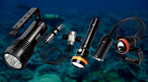 ��ˮ������������ߡ���OrcaTorch