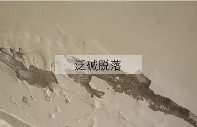 ��(gu��)����(d��ng)?sh��)�����ʿ���졪����ʿSOK�����Ʒ�|(zh��)���bͿ��