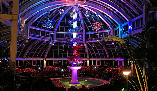 ��˹�Ǳ�����֮���������ռ������ß����c���ӭ������