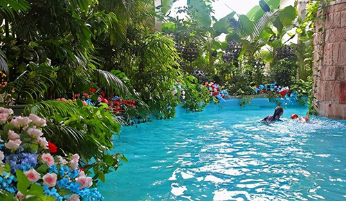 ��˹�Ǳ�����֮���������ռ������ß����c���ӭ������