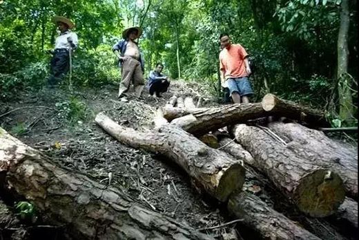 ��t��֦�Ҿߣ����M(j��n)�롰���ƻ����r(sh��)��