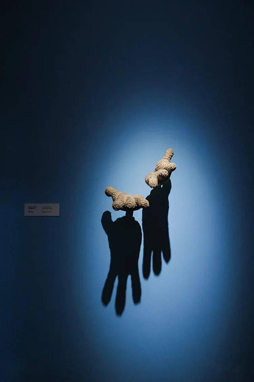 ����!�A������������ˇ�g(sh��)չ���y�ֵ�ʿ���������Ʒ