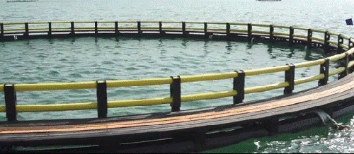 �۽��l(xi��ng)�����d��(zh��n)�ԣ��Ї�(gu��)(li��n)�ܷe�O�l(f��)�]�ܵ����^����