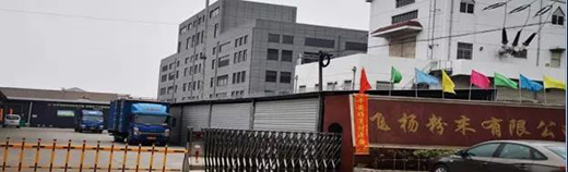 �������塱ӭ�������l(shu��)��(hu��)��Ϳ���I(l��ng)��ĳ�����һƥ�����R��?